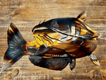 Blue Catfish Metal Wall Art Decor Fishing Polliwog Mud Cat