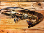 Gulf Shrimp Metal Art - Damrill Metal Sculpture